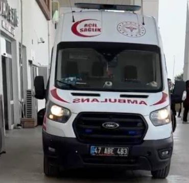mardin nusaybin