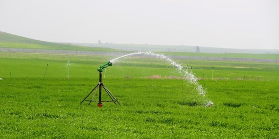 Dicle Elektrik’ten Tarımsal Sulama Öncesi Önemli uyarı (3)