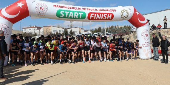 Mardin Spor