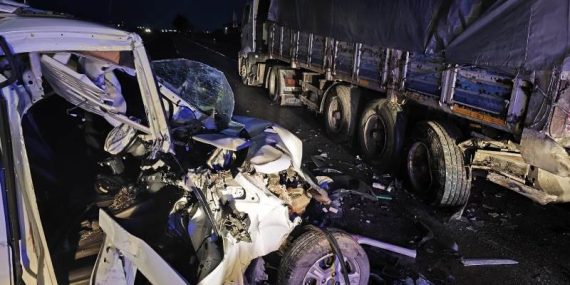 WhatsApp Image 2025-02-12 at 15.55.51