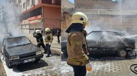 IMG_20250420_201930 (1)