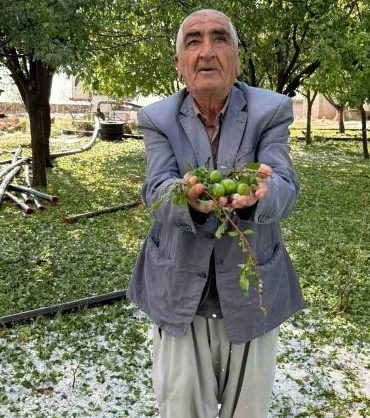 mazıdağı