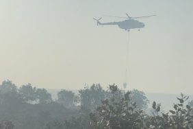 WhatsApp Image 2025-06-29 at 17.45.49