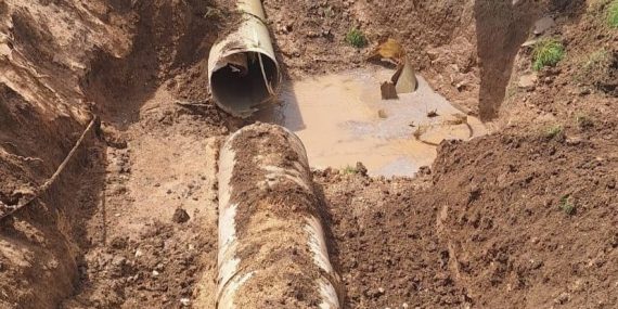 WhatsApp Image 2025-07-21 at 13.48.33