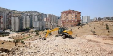 WhatsApp Image 2025-07-22 at 11.11.50