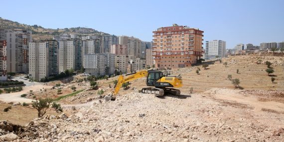 WhatsApp Image 2025-07-22 at 11.11.50