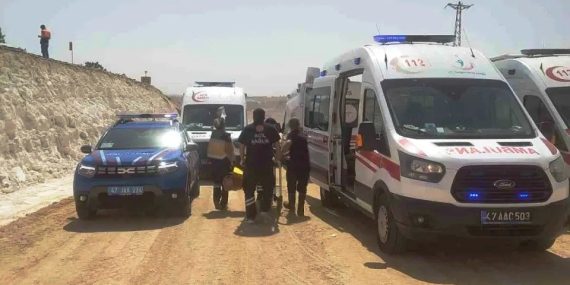 WhatsApp Image 2025-08-18 at 12.58.42