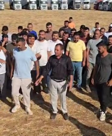 WhatsApp Image 2025-08-19 at 17.40.18