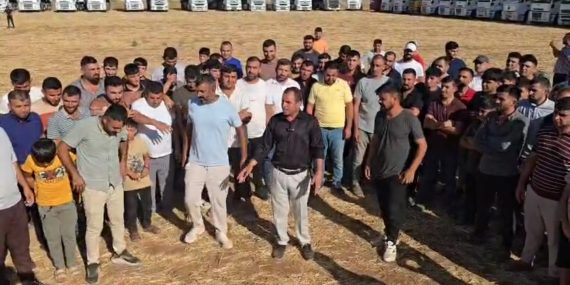 WhatsApp Image 2025-08-19 at 17.40.18