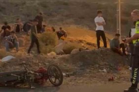 WhatsApp Image 2025-09-15 at 15.55.56