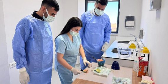 WhatsApp Image 2025-10-30 at 15.34.05