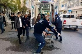 WhatsApp Image 2025-11-21 at 11.47.31 (1)