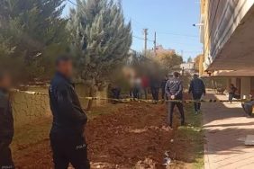 WhatsApp Image 2025-12-03 at 13.03.36