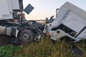 WhatsApp Image 2025-12-11 at 08.16.58 (1)