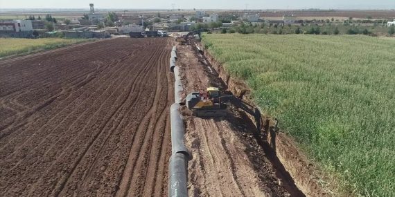 WhatsApp Image 2025-12-14 at 15.02.44