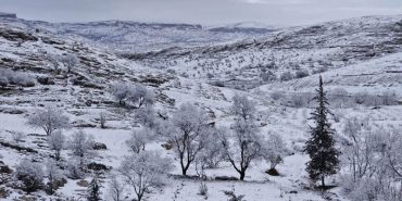 WhatsApp Image 2026-01-14 at 12.05.06