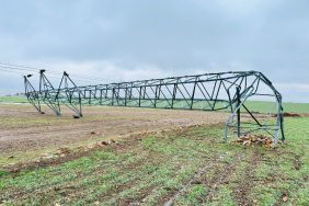 WhatsApp Image 2026-01-22 at 09.56.51