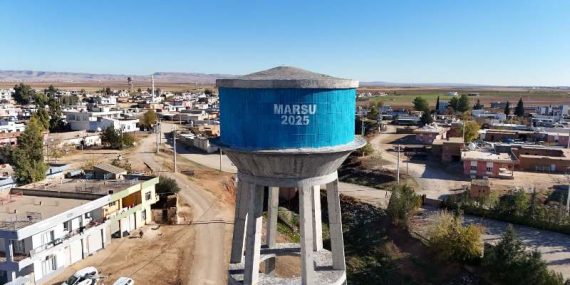 WhatsApp Image 2026-02-10 at 15.39.29