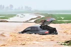 WhatsApp Image 2026-03-15 at 16.17.53