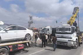 WhatsApp Image 2026-03-28 at 12.49.50