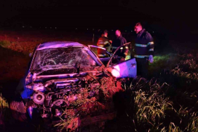 WhatsApp Image 2026-03-29 at 17.13.13