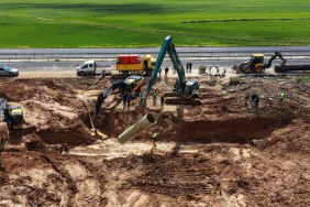 WhatsApp Image 2026-03-31 at 20.16.08