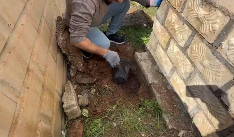 WhatsApp Image 2026-04-02 at 14.58.55